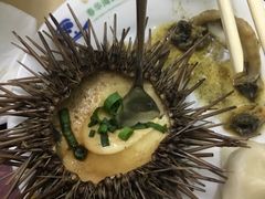 海胆-春华海鲜城(广场西苑店)