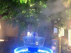 -佬麻雀·剁椒鱼头(京基KK One店)