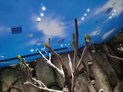 -zoonana室内动物园(东方福来德店)