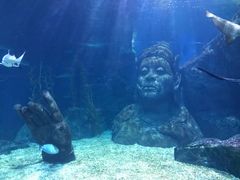 -暹罗海洋世界