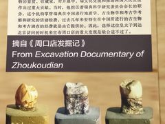 -北京周口店北京人遗址博物馆