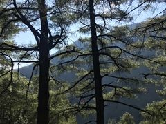 -苍山感通索道