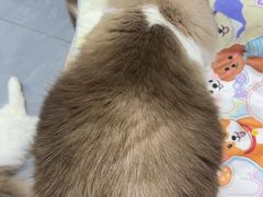 -联合动物医院(光谷诊疗中心)