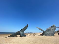-烟台金沙滩海滨公园