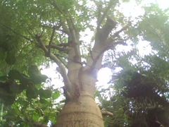 -祥源·阜阳生态乐园