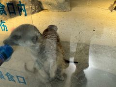 -洛阳龙门海洋馆