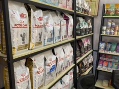 -渲嗳动物医院(异宠·复杂内科转诊中心·玖洲道富华里分院)