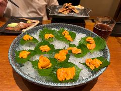 -月龍吟(朝龙汇店)