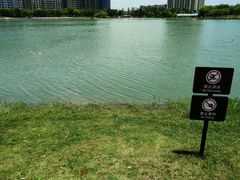 -南翔镇银翔湖公园