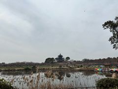 -上海海湾国家森林公园