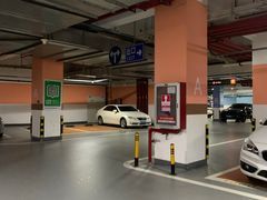 -点心传说·粤菜点心(佐阾虹湾店)