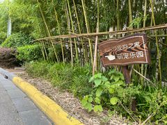 -上海崇明金茂凯悦酒店