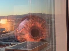 -拉斯维加斯永利酒店