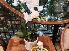 -蘇锦宴·淮扬菜烤鸭·小院(三元桥霄云路店)