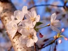 -La Creperie法餐厅(桃江路店)