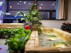 -浙C老邻舍(西城海错店)