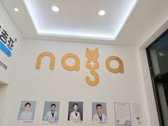 -纳吉亚猫专科动物医院·北北分院