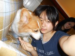 -观音桥步行街