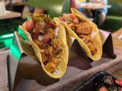 -Famous肥猫墨西哥音乐餐吧(五棵松华熙LIVE店)