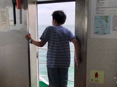 -长岛万鸟岛
