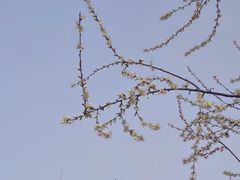 -三里河公园