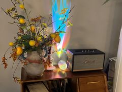 -Supine Bistro溯泮餐厅