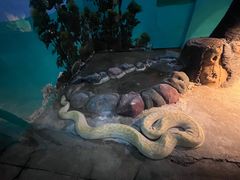 -新疆天山野生动物园