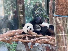 -大连森林动物园