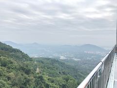 -呀诺达热带雨林