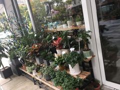 -卓花境Flowerwonderland花店
