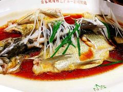 翘嘴鲌鱼-丹江渔村(望京店)