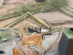 -二一九公园