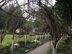 -雅安楠水阁温泉酒店