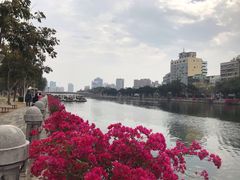 -高雄爱河