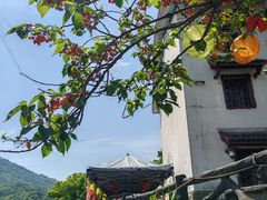 -石塘人家