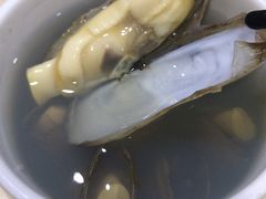 海蛏罐-广达眼镜炖罐(广达店)
