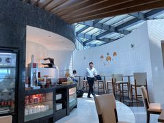 -虹桥机场国航贵宾室v8