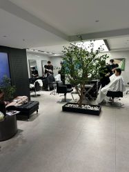 -付军剪艺JF ProSalon