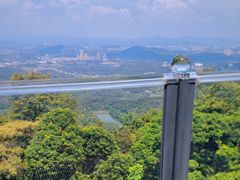 -黄埔油麻山森林公园