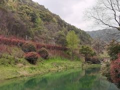 -桃花岭景区