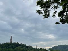 -顺峰山公园