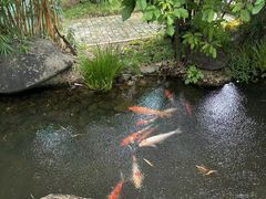 -湖南别院·美学庭院餐厅(惠阳店)
