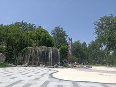 -合肥滨湖国家森林公园