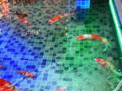 -碧涛阁水世界酒店(万家丽路店)