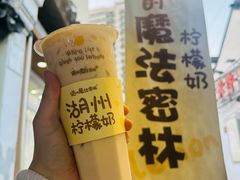 -猫的魔法密林(衣裳街店)