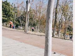 -大兴滨河森林公园