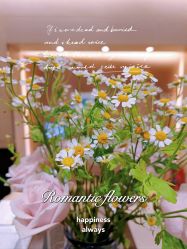 -Oasis Beauty水磨坊科技美肤中心