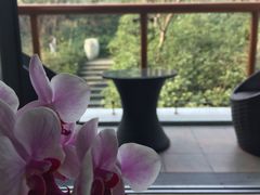 -天目湖御水温泉·度假酒店