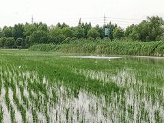 -嘉北郊野公园