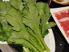 -南门涮肉(北洼路店)
